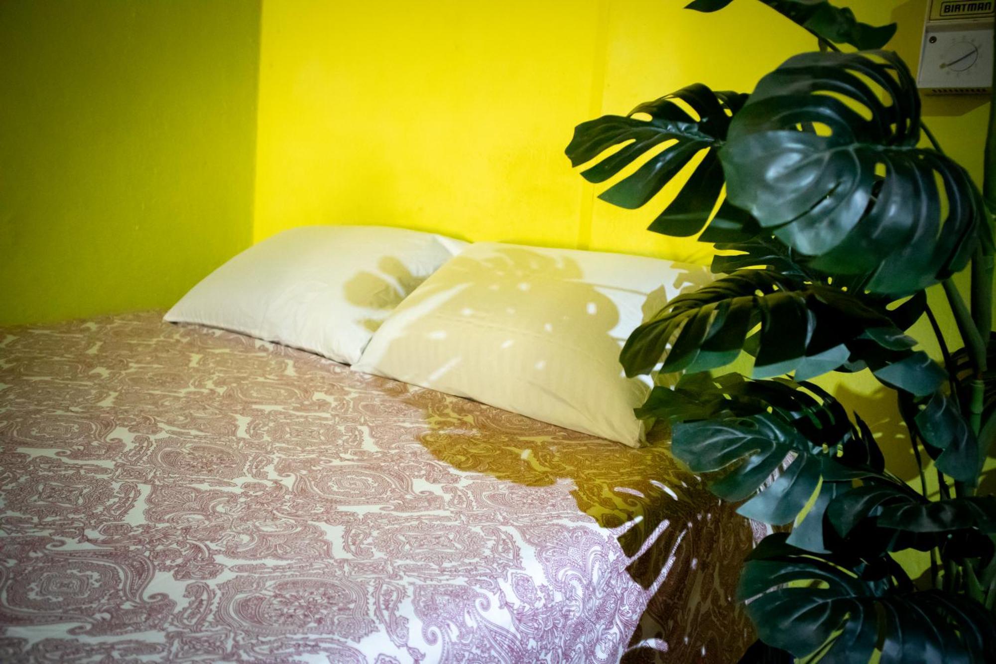 Hostal Shalom 푸에르토 에스콘디도 외부 사진