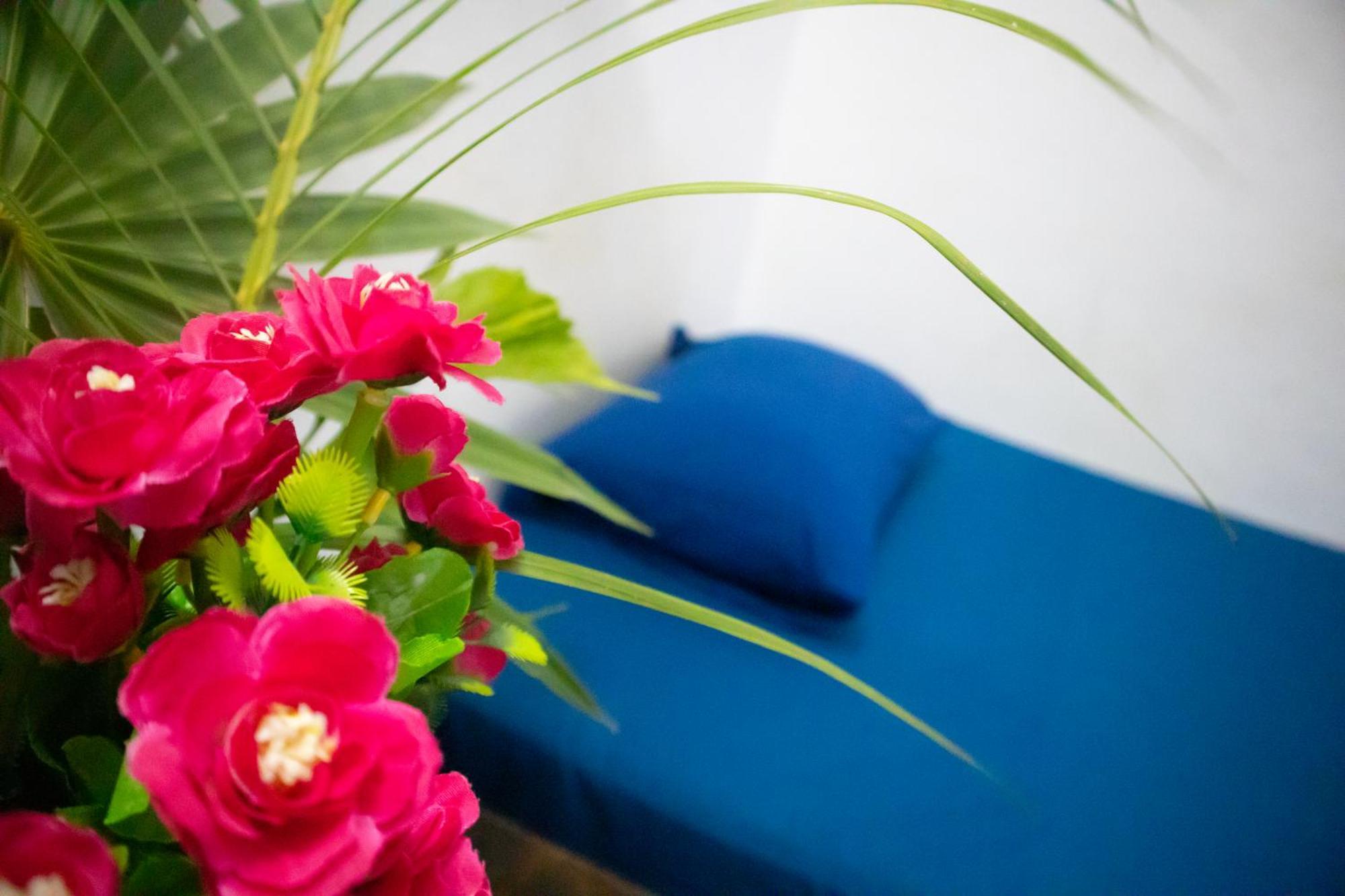 Hostal Shalom 푸에르토 에스콘디도 외부 사진