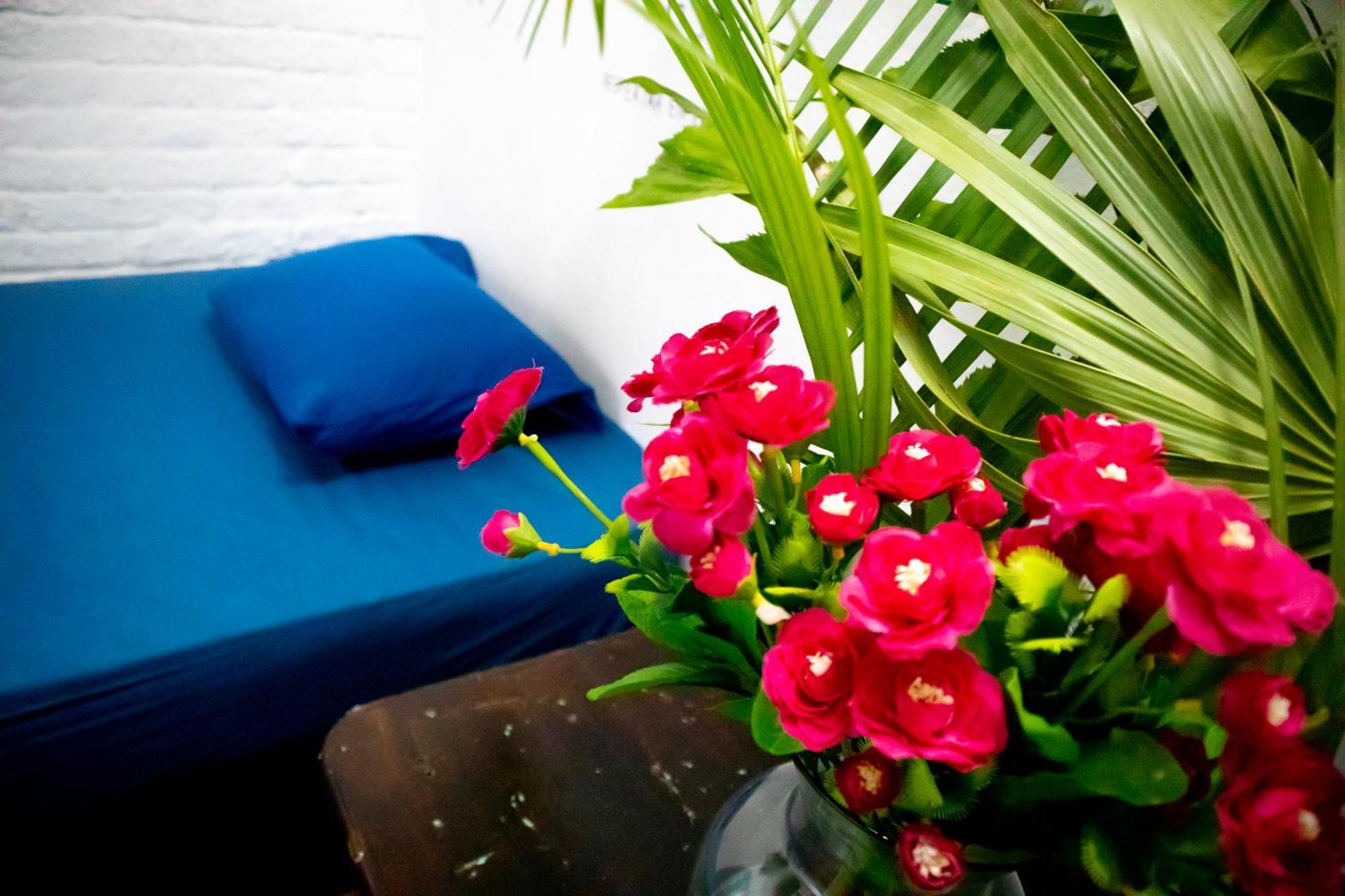 Hostal Shalom 푸에르토 에스콘디도 외부 사진